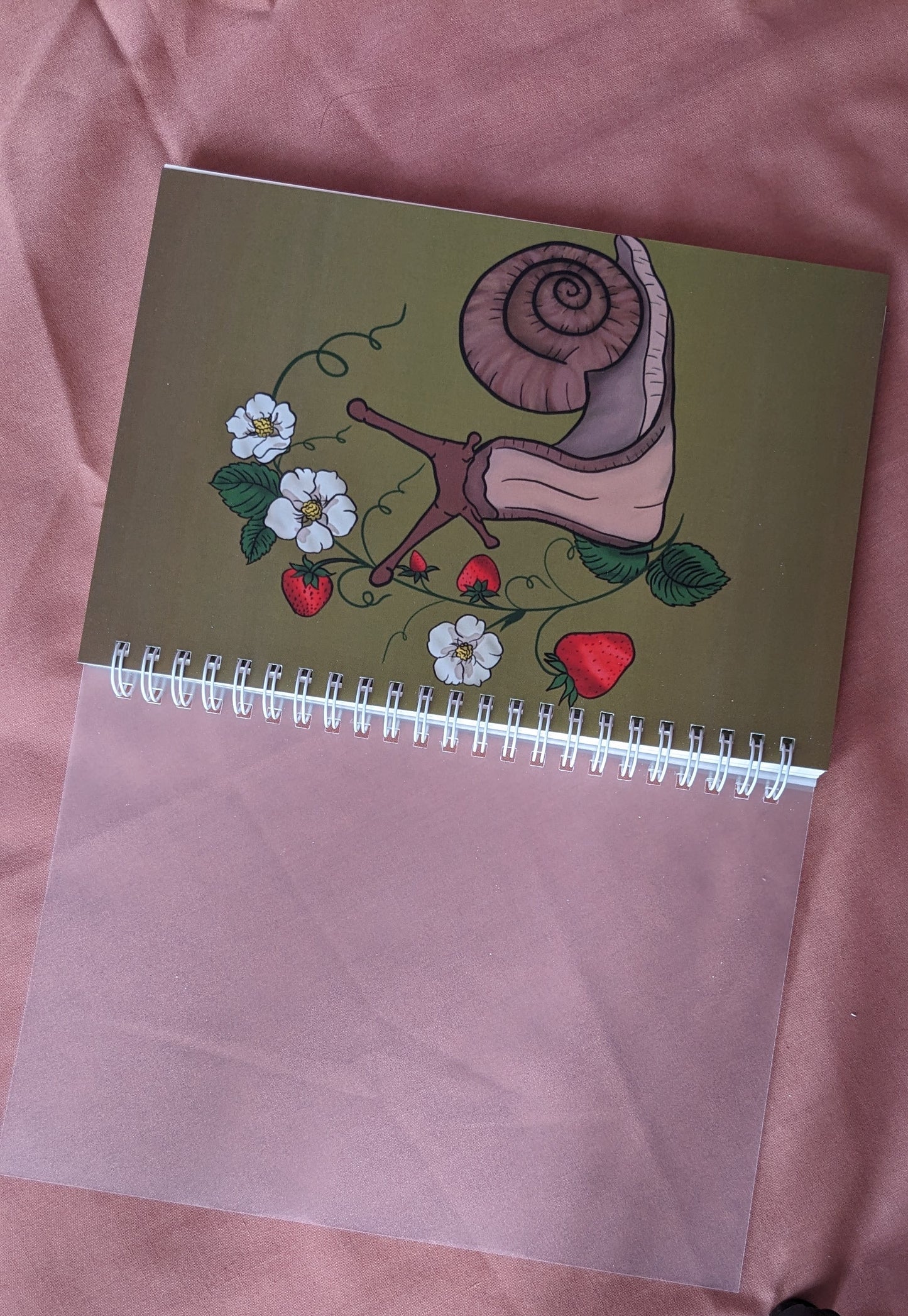 Snail Notebook