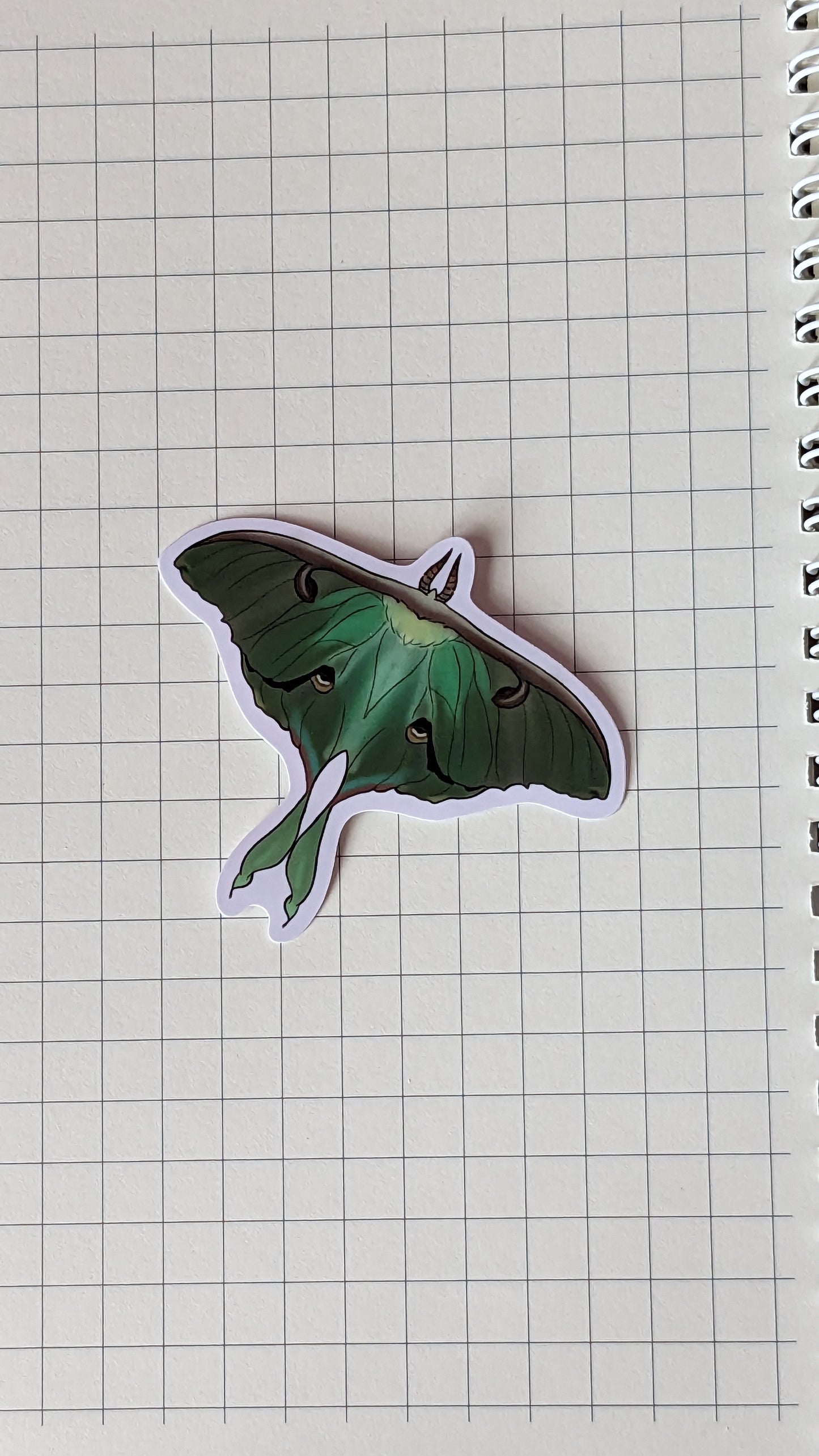 Lunar Moth Sticker